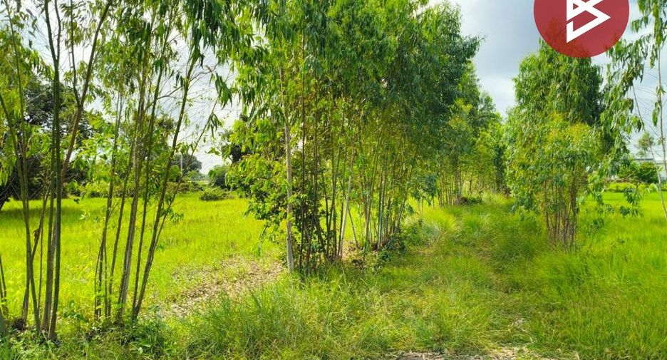 Продажа Участок в Thawat Buri, Roi Et
