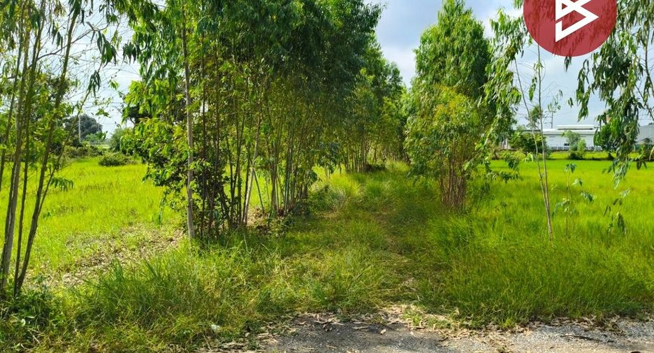Продажа Участок в Thawat Buri, Roi Et
