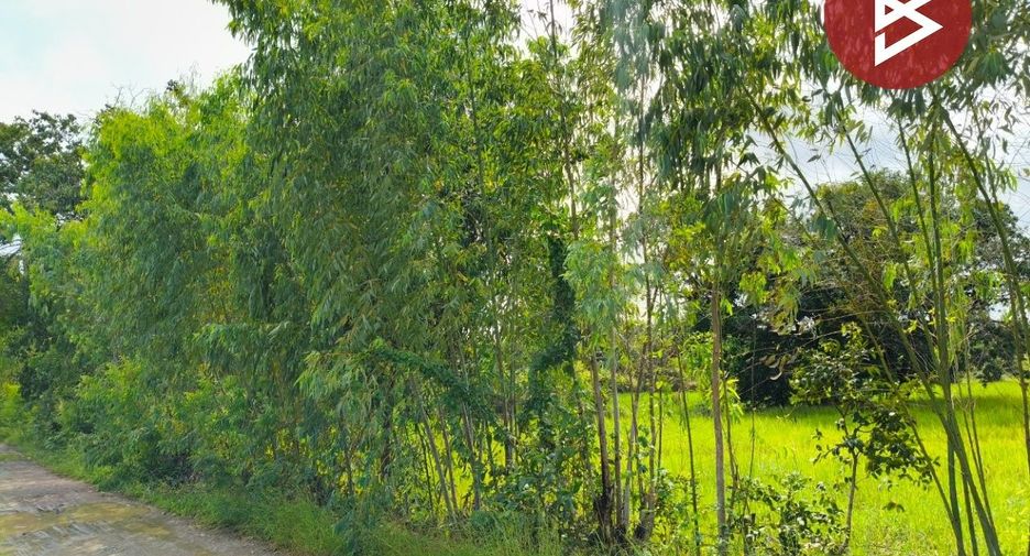 Продажа Участок в Thawat Buri, Roi Et