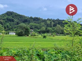 Grundstück zum Kauf in Thoeng, Chiang Rai