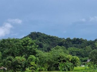 Grundstück zum Kauf in Thoeng, Chiang Rai