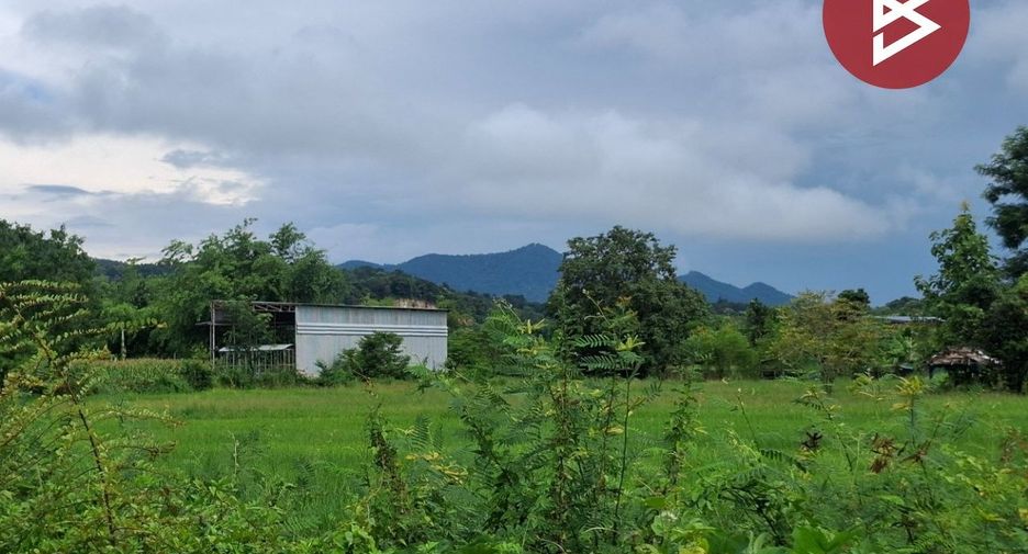 Grundstück zum Kauf in Thoeng, Chiang Rai