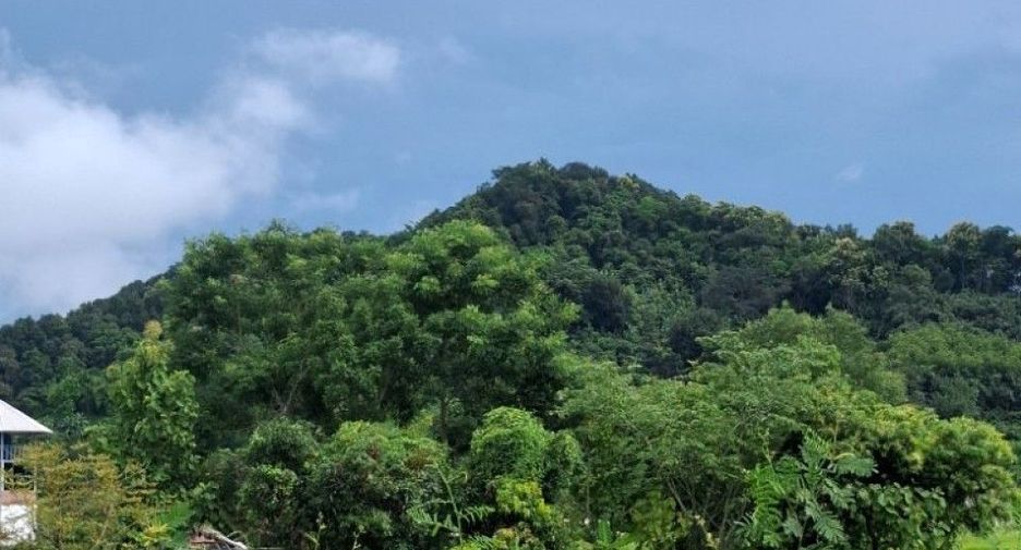 Grundstück zum Kauf in Thoeng, Chiang Rai