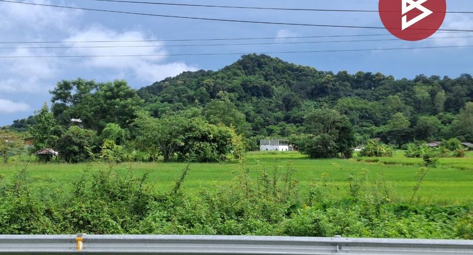 Grundstück zum Kauf in Thoeng, Chiang Rai