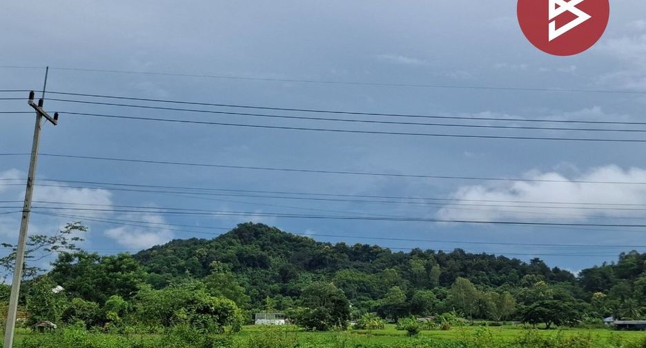 Grundstück zum Kauf in Thoeng, Chiang Rai