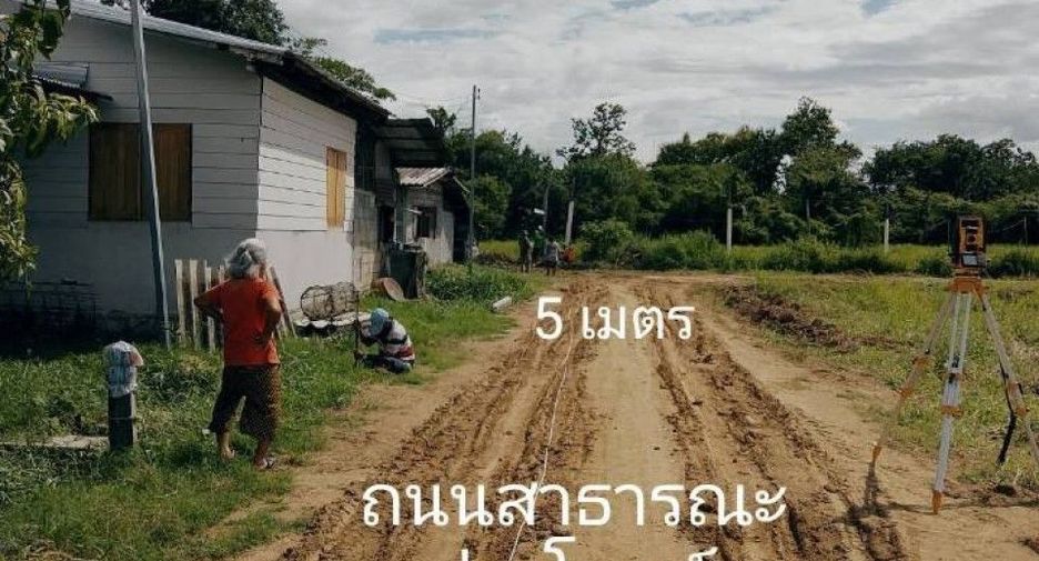 For sale land in Wang Chao, Tak