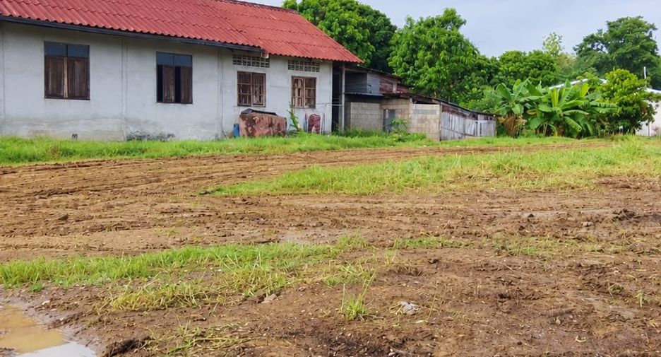 For sale land in Wang Chao, Tak