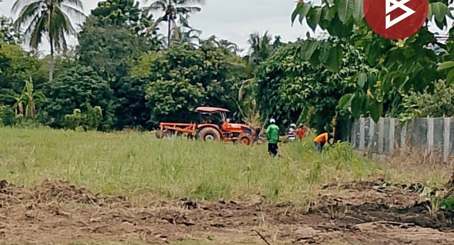 For sale land in Wang Chao, Tak