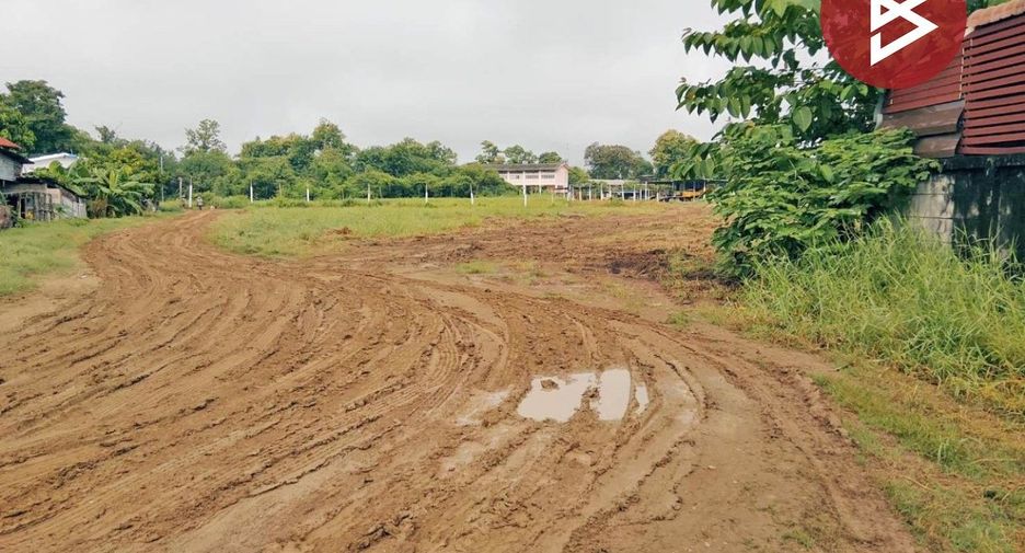 For sale land in Wang Chao, Tak