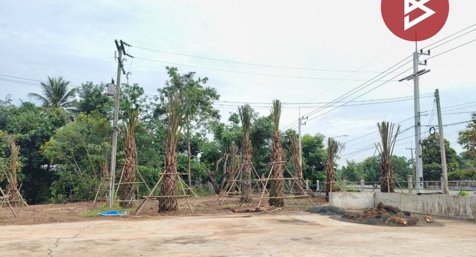 Grundstück zum Kauf in Prakhon Chai, Buriram