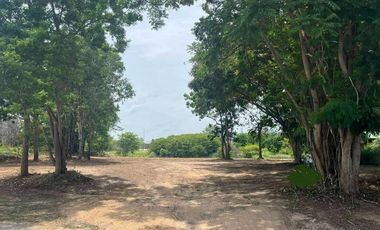 出售 土地 在 Mueang Chon Buri, Chon Buri