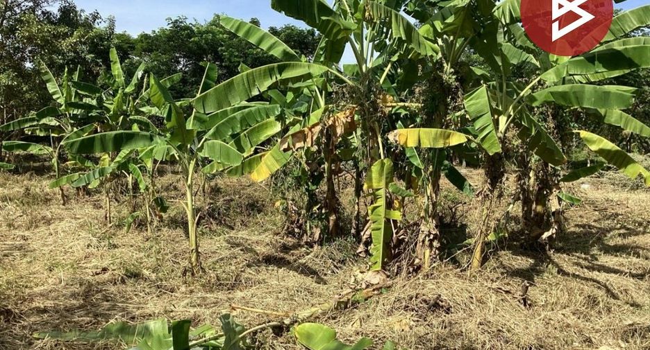 Продажа Участок в Kaeng Khoi, Saraburi