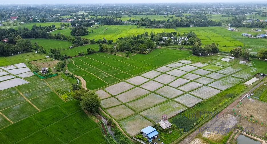 出售 土地 在 Doi Saket, Chiang Mai