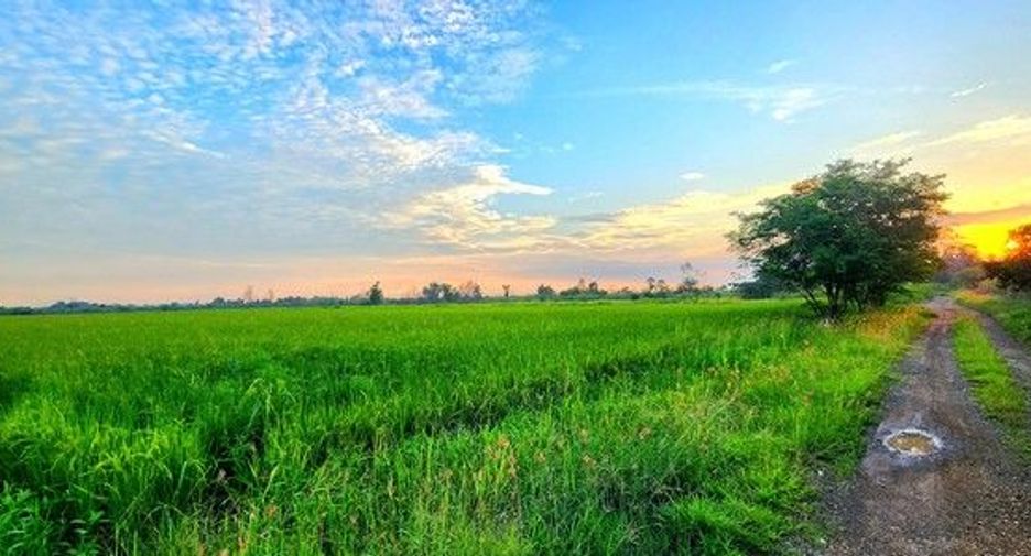 出售 土地 在 Ongkharak, Nakhon Nayok