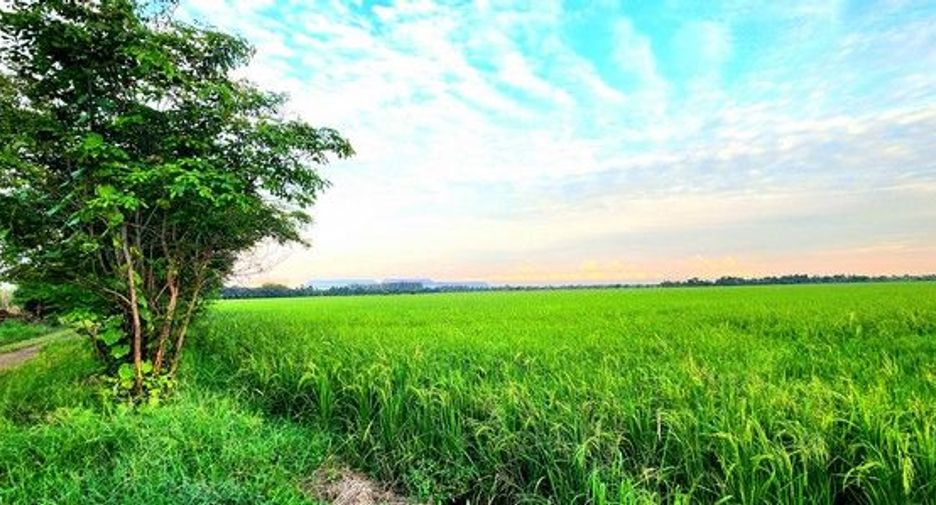 出售 土地 在 Ongkharak, Nakhon Nayok