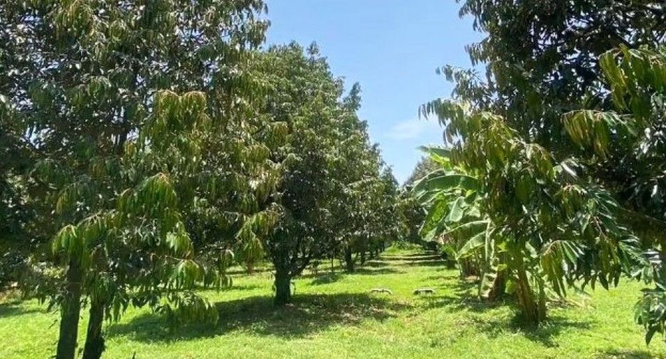 Продажа 4 спальни дом в Na Yai Am, Чантхабури