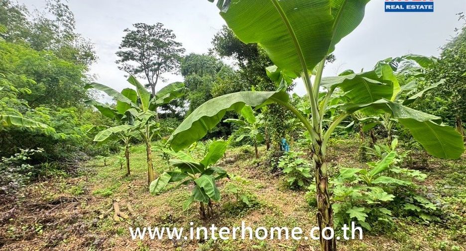Продажа Участок в Mueang Buriram, Buri Ram