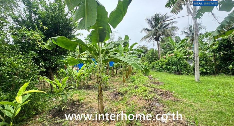 Продажа Участок в Mueang Buriram, Buri Ram