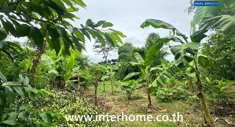 Продажа Участок в Mueang Buriram, Buri Ram