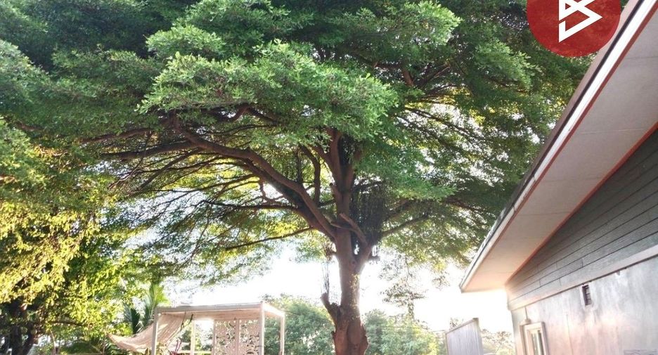 For sale land in Waeng Noi, Khon Kaen