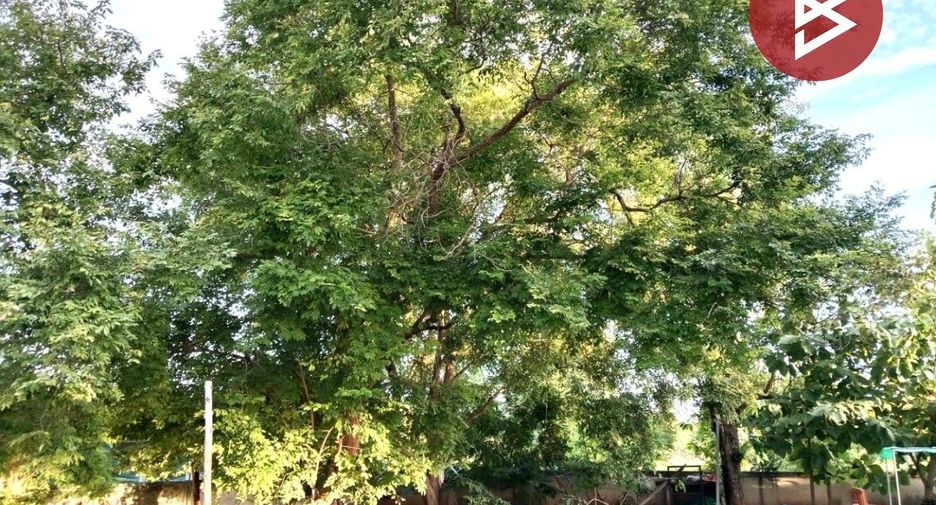 For sale land in Waeng Noi, Khon Kaen