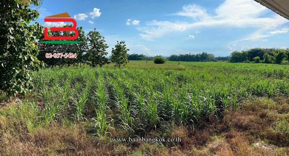 Продажа Участок в Mueang Loei, Loei