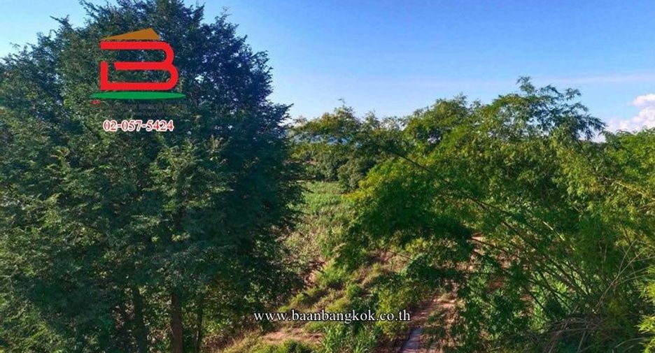Продажа Участок в Mueang Loei, Loei