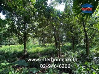 For sale land in Phasi Charoen, Bangkok