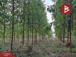 Продажа Участок в Mueang Tak, Tak