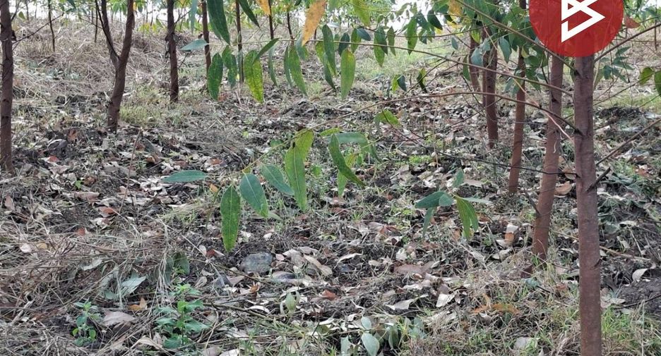 Продажа Участок в Mueang Tak, Tak