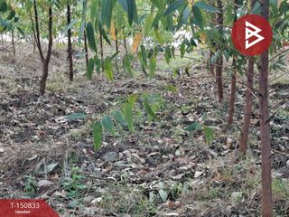 For sale land in Mueang Tak, Tak