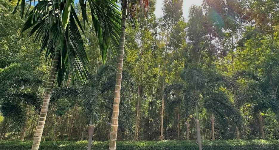 À vendre 1 chambre condo à Jomtien, Pattaya
