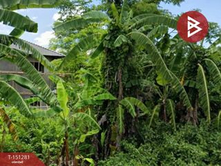 For sale land in Mueang Chiang Rai, Chiang Rai
