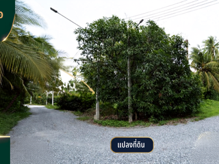For sale land in Sam Phran, Nakhon Pathom
