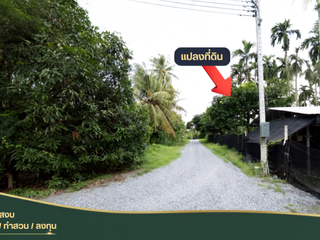 For sale land in Sam Phran, Nakhon Pathom