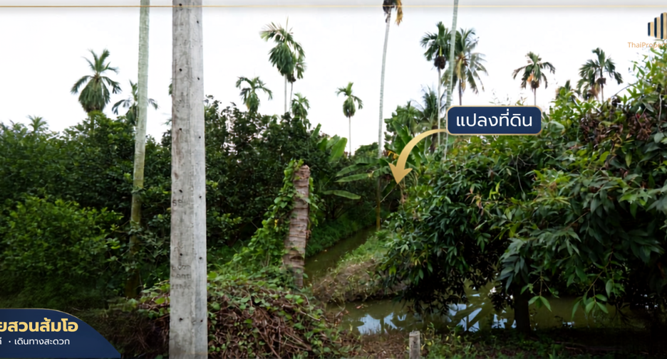 For sale land in Sam Phran, Nakhon Pathom