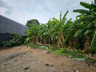 出售 土地 在 Suan Luang, 曼谷