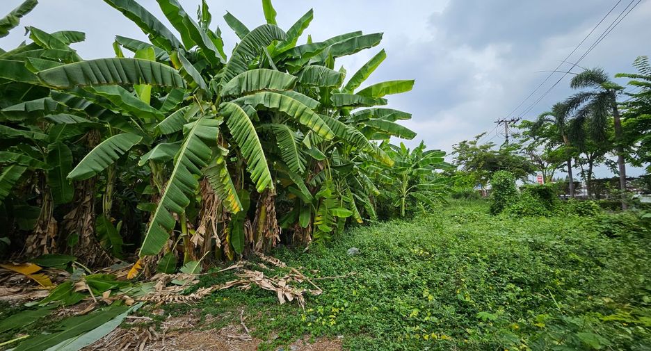 出售 土地 在 Suan Luang, 曼谷