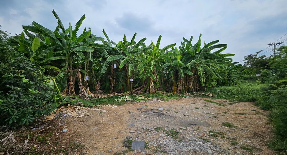 出售 土地 在 Suan Luang, 曼谷