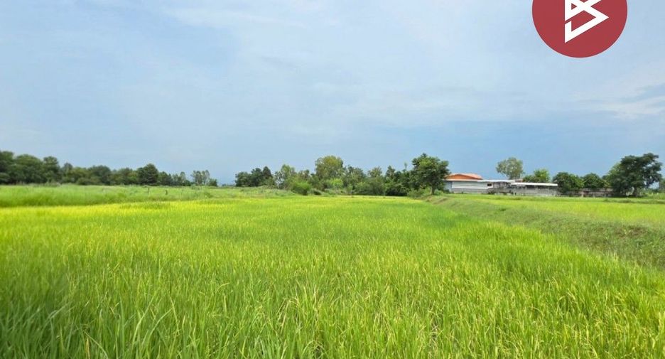 Продажа Участок в Si Somdet, Roi Et