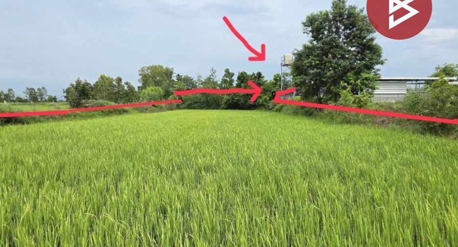 Продажа Участок в Si Somdet, Roi Et