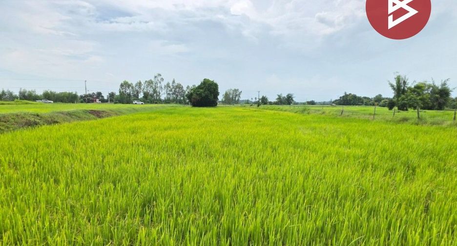 Продажа Участок в Si Somdet, Roi Et