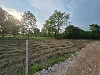 For sale land in Phrao, Chiang Mai