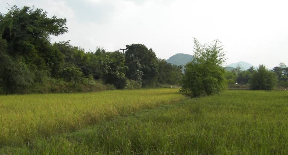 Grundstück zum Kauf in Ban Lat, Phetchaburi