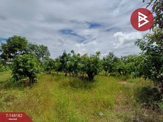 For sale land in Sak Lek, Phichit