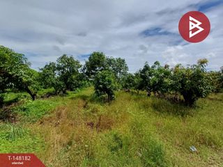 For sale land in Sak Lek, Phichit