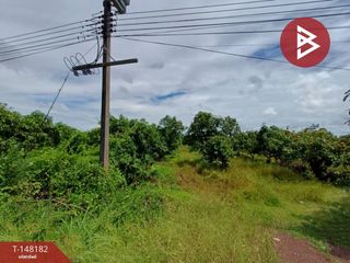 For sale land in Sak Lek, Phichit