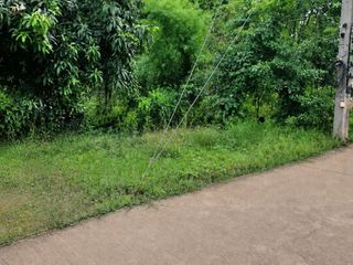 For sale land in Taphan Hin, Phichit