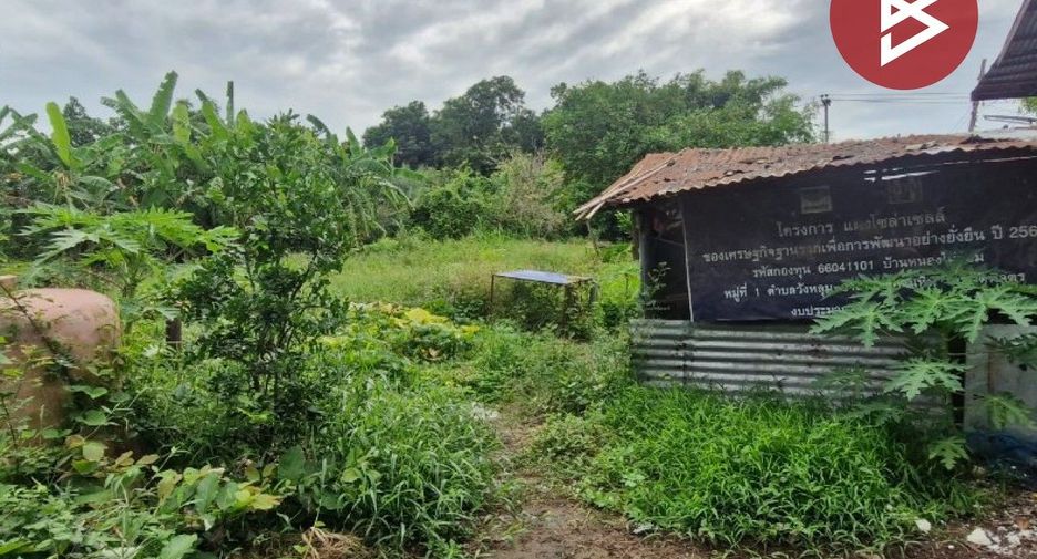 For sale land in Taphan Hin, Phichit