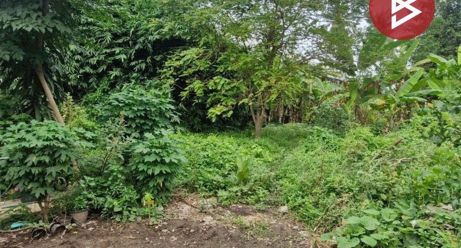 For sale land in Taphan Hin, Phichit